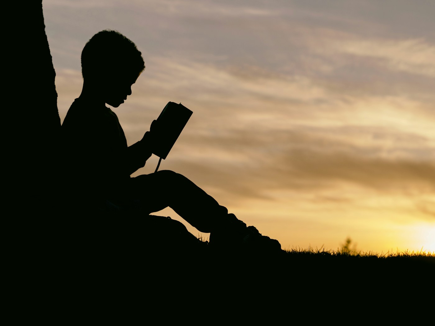A reader silhouetted outdoors at sunset